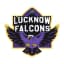 Lucknow Falcons Flag