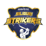 Team logo