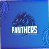 Team logo